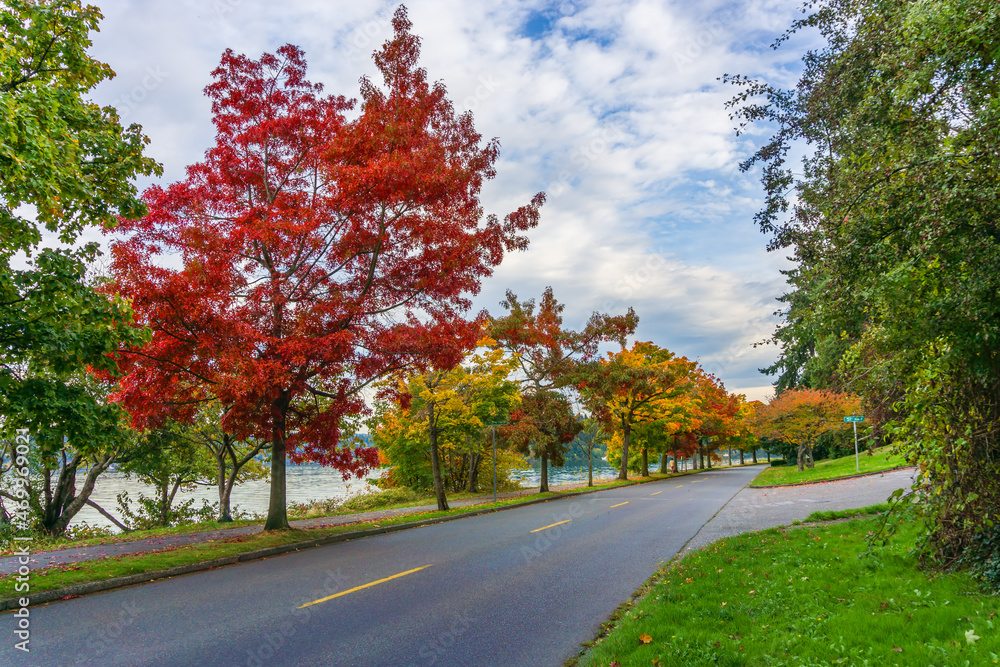 Scenic Fall Shoreline Landscape 6