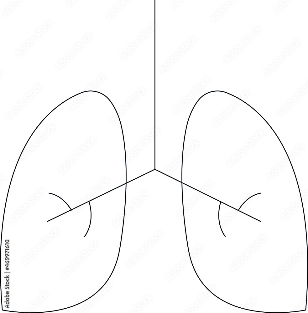 drug icons lungs and anatomy drug icons lungs and anatomy