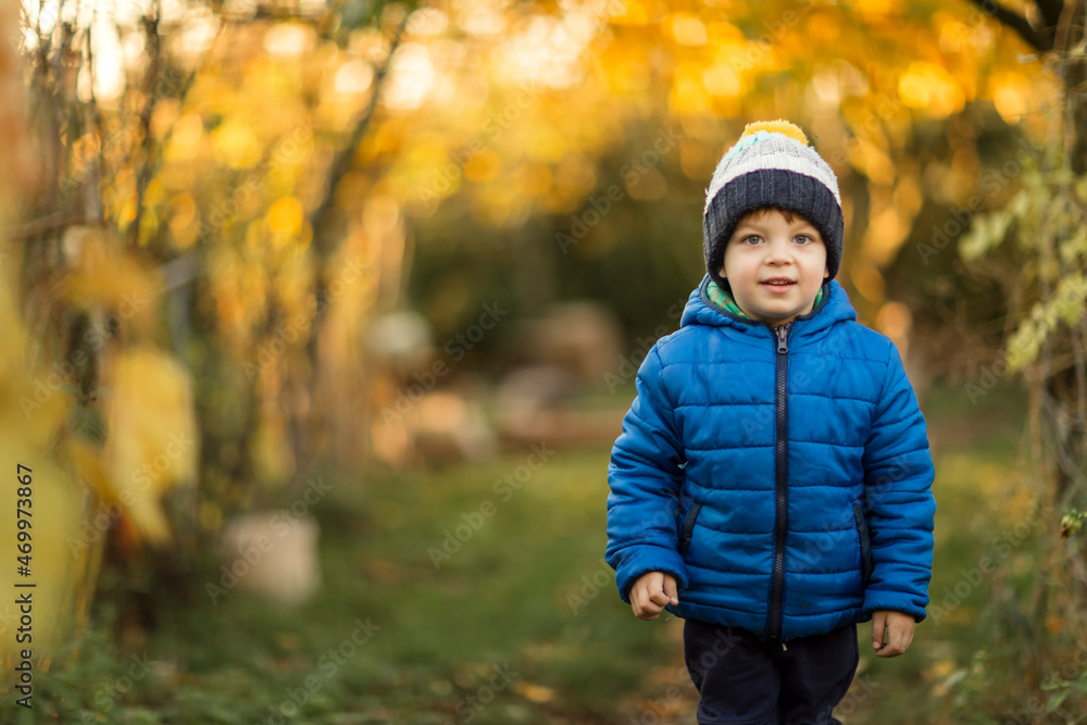 Front view of small boy in garden during autumn in blue jacket Front view of small boy in garden during autumn in blue jacket