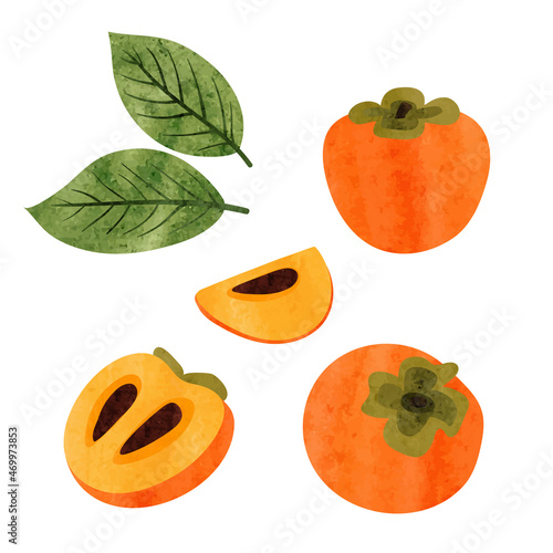 Persimmon set. Half, slice ...
