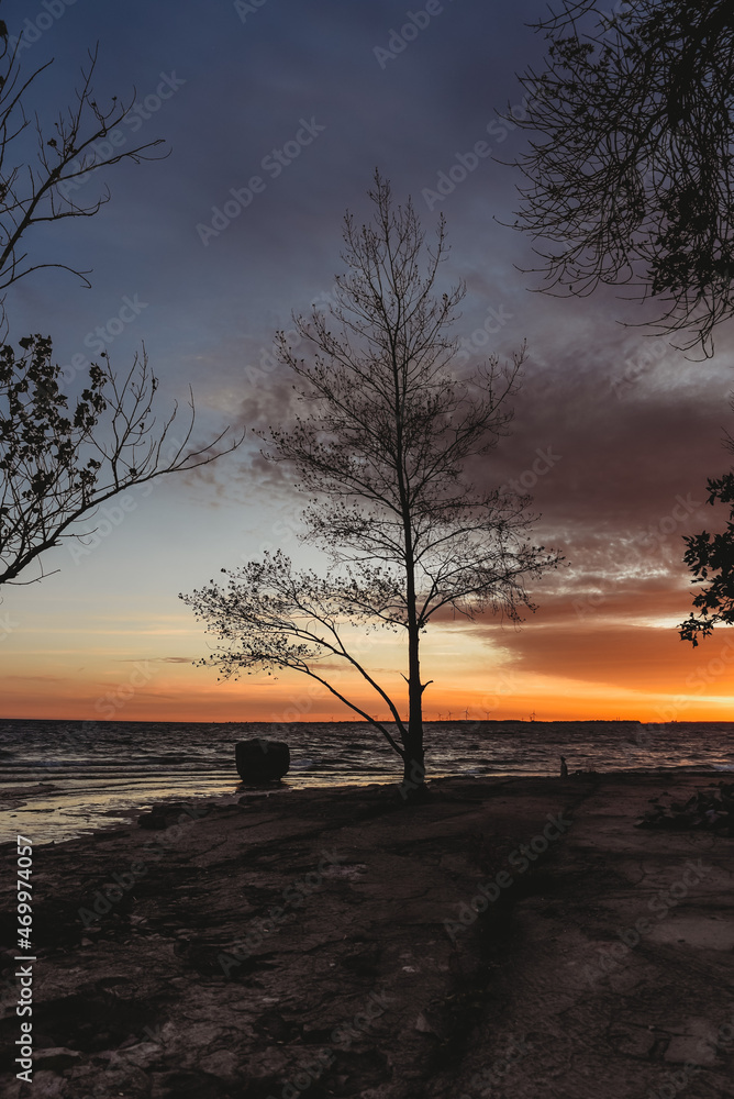 Beautiful colorful sunset on the tree lined shore of a lake.