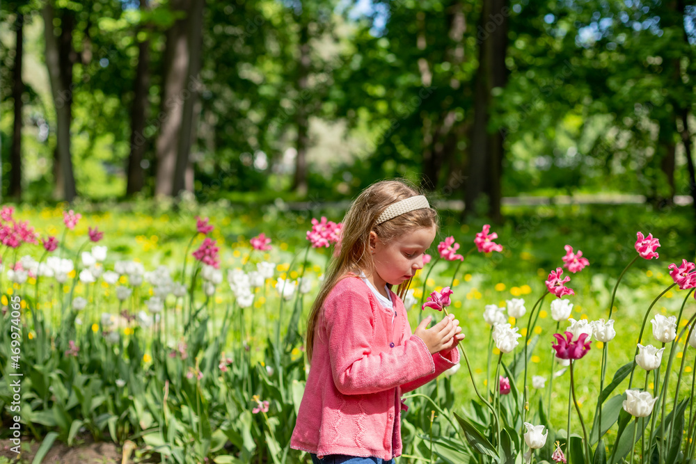 portrait of a very cute pretty girls blonde in a pink coat around the flower bed of tulips in the Park.Beautiful child smelling flowers on tulip fields. Child in tulip flower field portrait of a very cute pretty girls blonde in a pink coat around the flower bed of tulips in the Park.Beautiful child smelling flowers on tulip fields. Child in tulip flower field