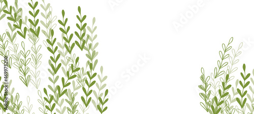 Floral web banner with drawn color exotic leaves. Nature concept design. Modern floral compositions with summer branches. Vector illustration on the theme of ecology, natura, environment