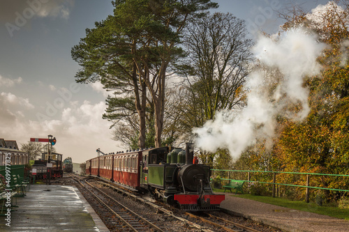 Steam Train coming into a English countryside station.
