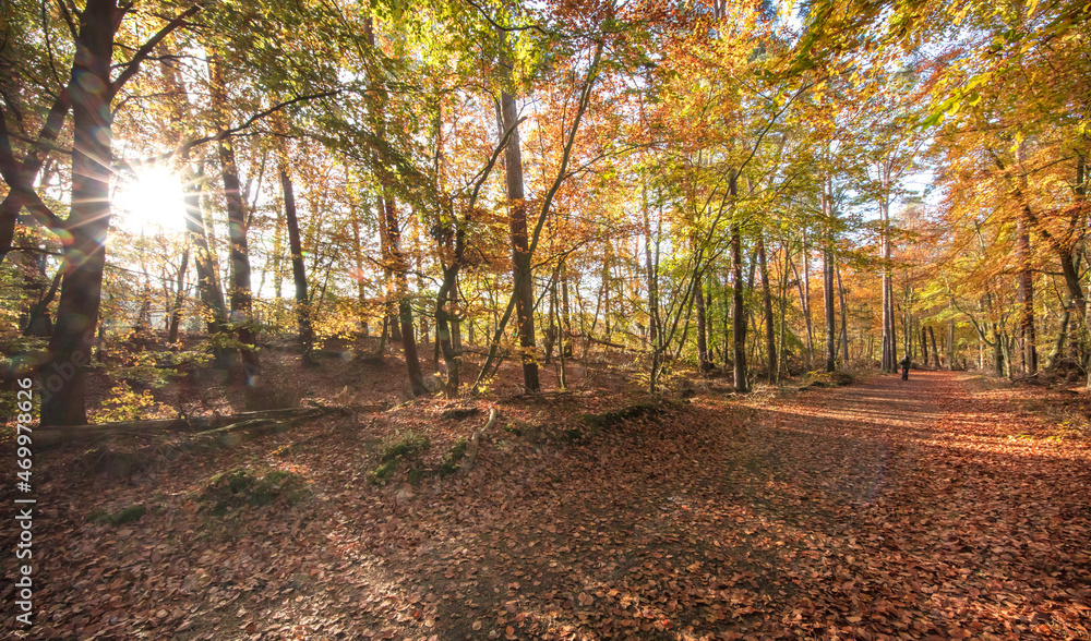 Obraz premium herbst