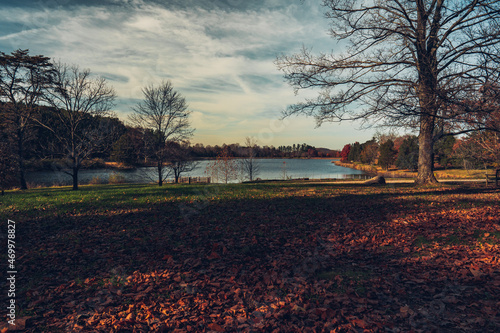 Wide View of Lake
