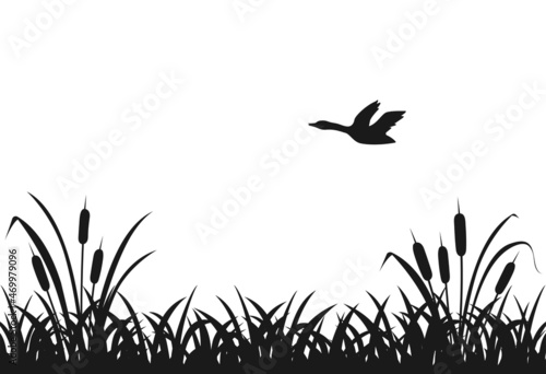 Black silhouette of marsh grass, flying duck, lake reeds, seamless grass.