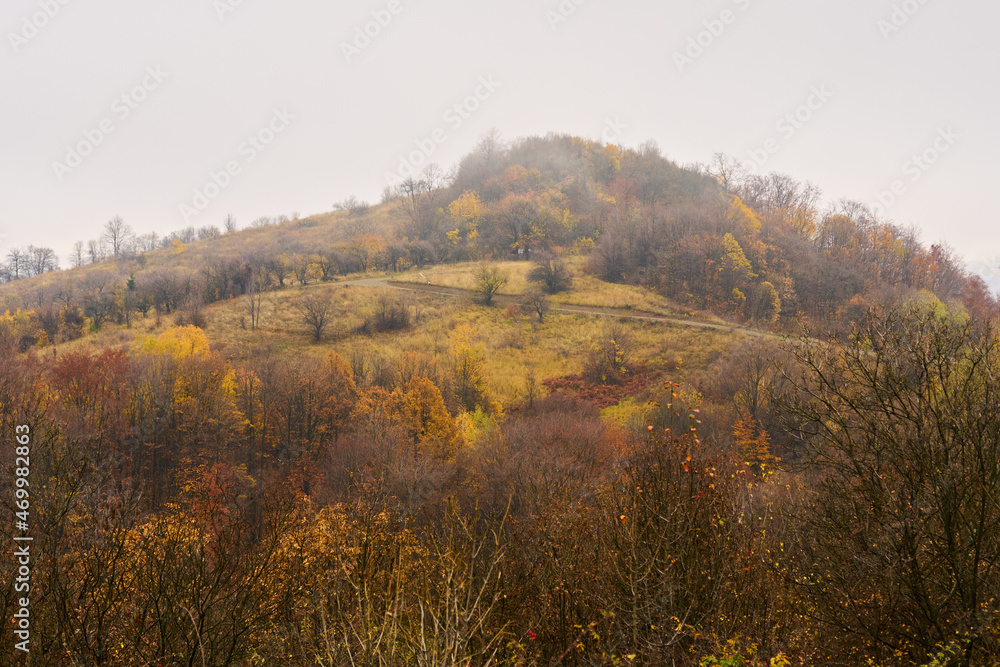 Colorful forest on Homolje mountains in the autumn