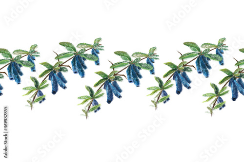 Seamless border Honeysuckle twig with green leaves and berries. Isolated on white background.