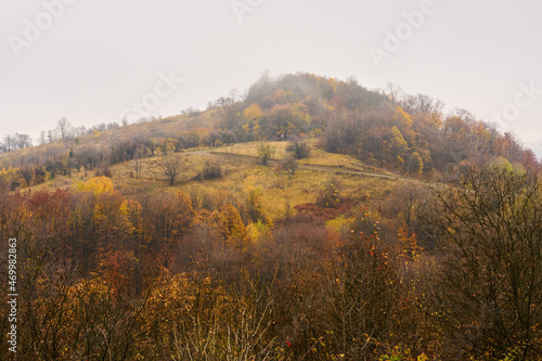 Colorful forest on Homolje mountains in the autumn