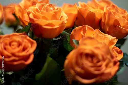 bouquet of orange roses (ID: 469983489)