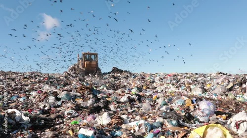 View of a large landfill on which a birds flies. Ecology, pollution, garbage, cleaning, work, dirty, urban landscape photo
