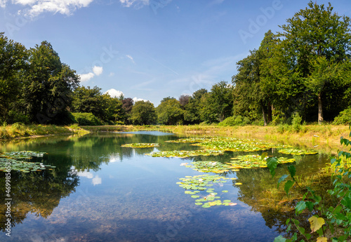 Pond in the Arnoldspark