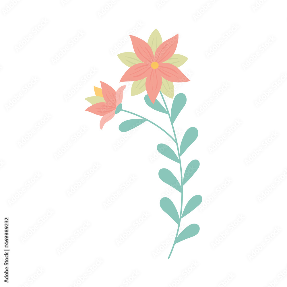 flowers nature leaf flowers nature leaf