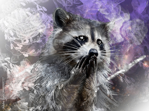 raccoon, animal, fluffy, cosmos, drawing,