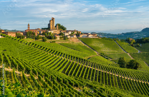 The beautiful village of Serralunga d Alba and its vineyards in the Langhe region of Piedmont  Italy.