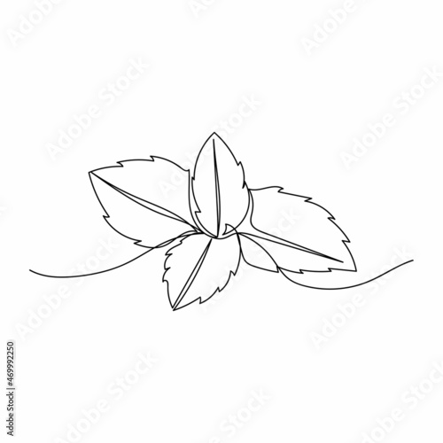 Vector continuous one single line drawing icon of  fresh garden mint leaves in silhouette sketch on white background. Linear stylized.