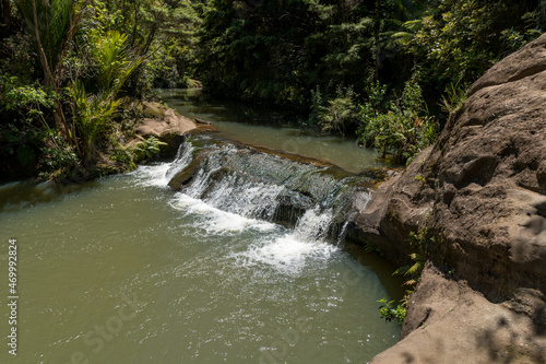 Mokoroa stream track near Auckland