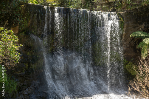 View of Mokoroa Waterfalls  Auckland New Zealand