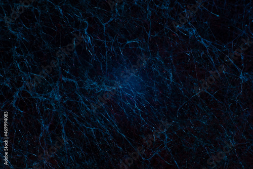 macro photography abstract blue natural texture neural network mold