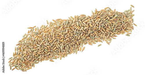Organic rye grains isolated on a white background, top view. Healthy grains and cereals.