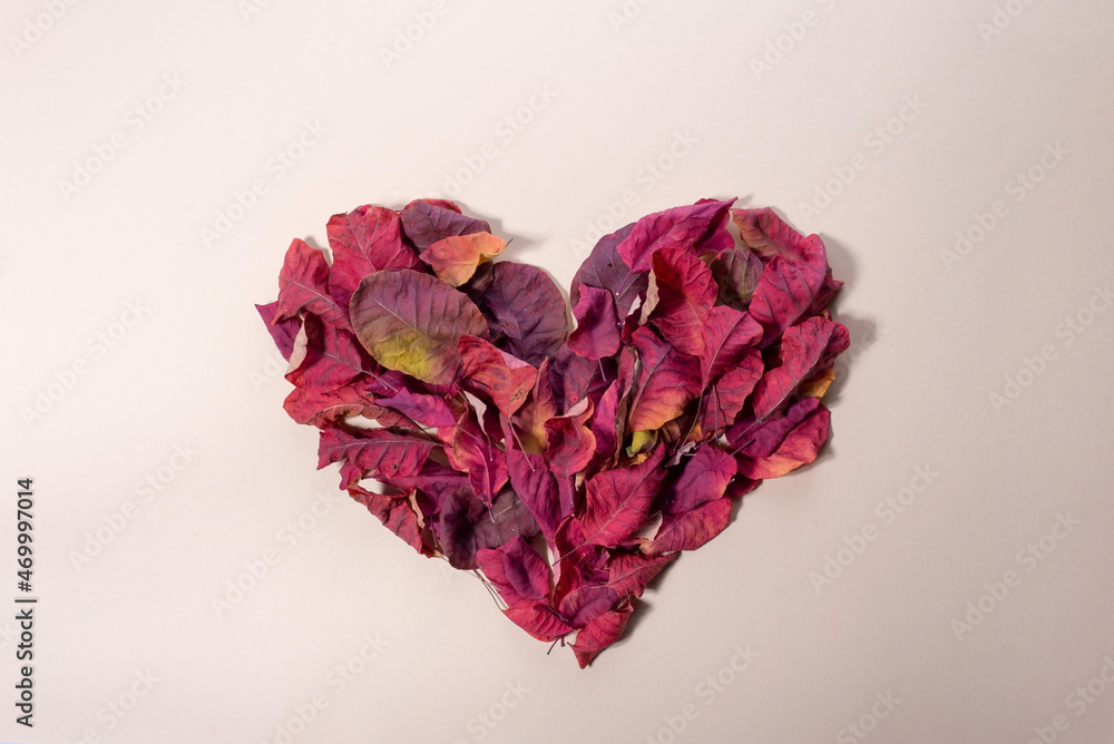 Obraz premium heart made of autumn leaves in trendy color. Minimalistic love day concept