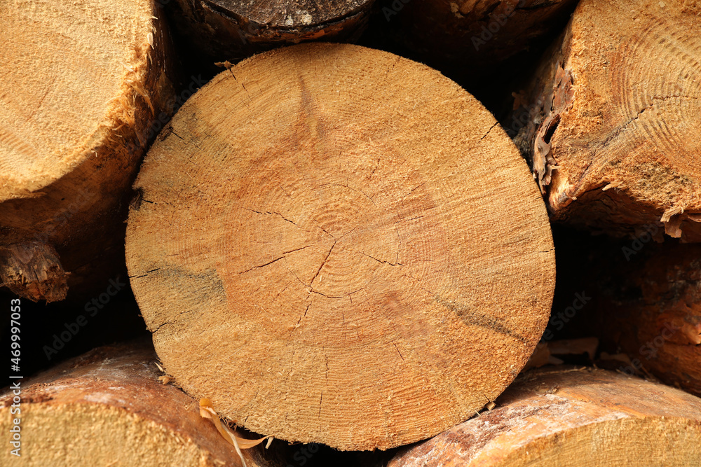 Stacked firewood as background, closeup. Heating in winter Stacked firewood as background, closeup. Heating in winter