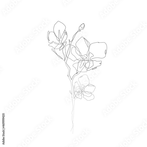 Line Drawing Flowers Print, Botanical Wall Art, Wildflowers Printable, One Line Drawing, Minimalist Wall Decor, Floral Wall Art, Digital Art 