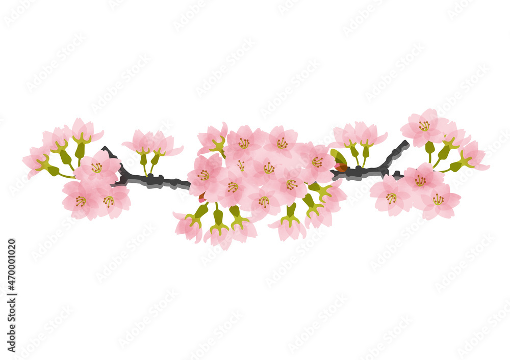桜の花と蕾のついた枝フレーム