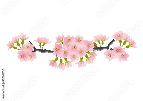 桜の花と蕾のついた枝フレーム © Hinageshi