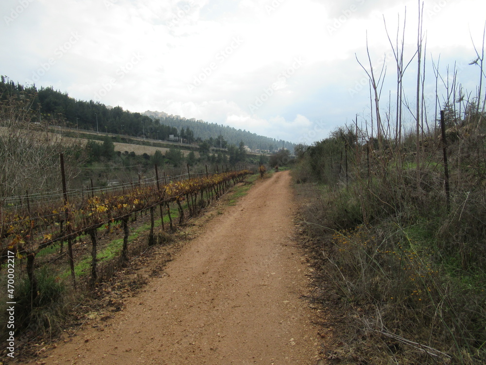 Jerusalem's running path Jerusalem's running path