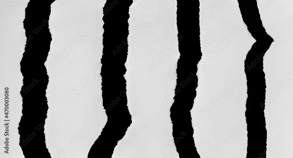 Fototapeta premium Vertically torn paper into several pieces. Isolated pieces in black