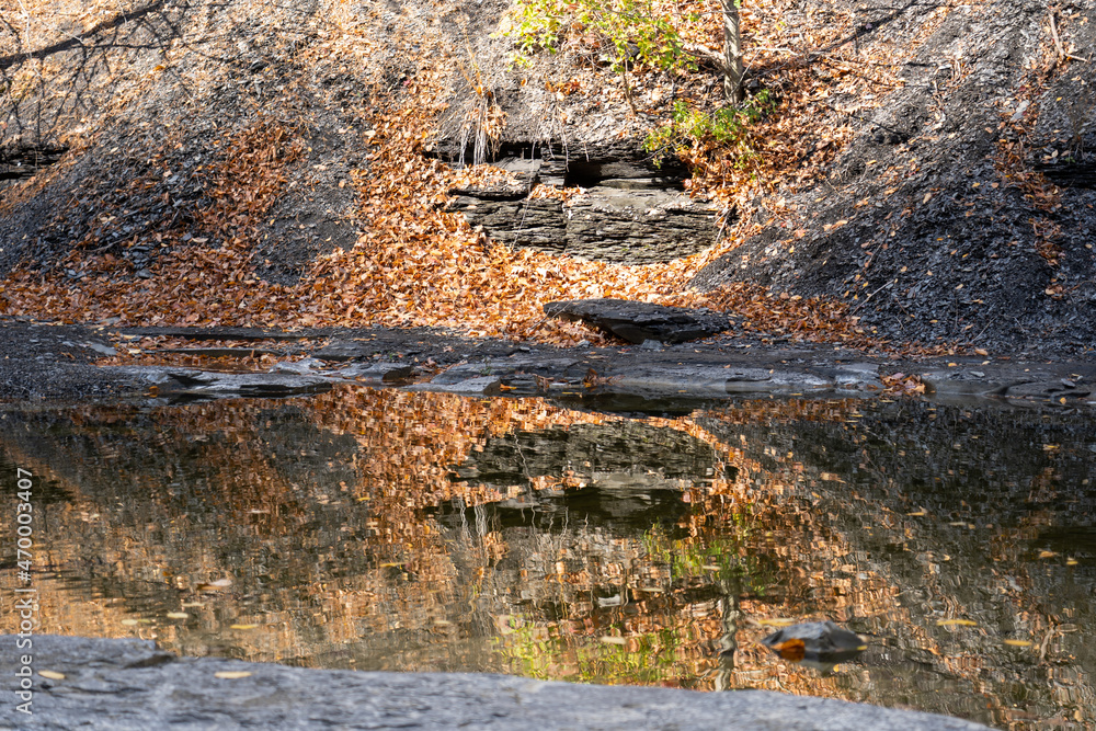 Reflection in Stream 