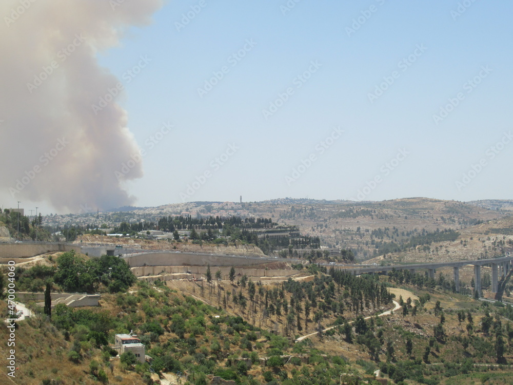 Obraz premium forest fire