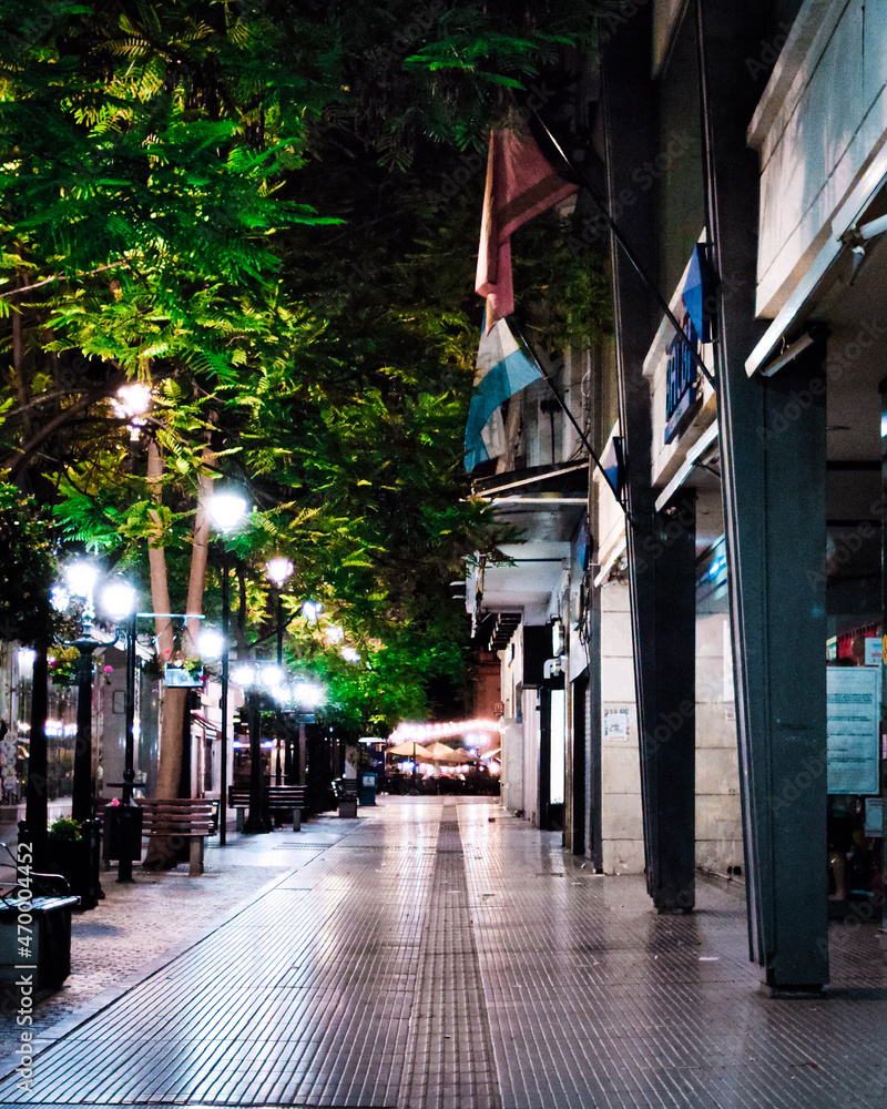 Obraz premium flags on the street