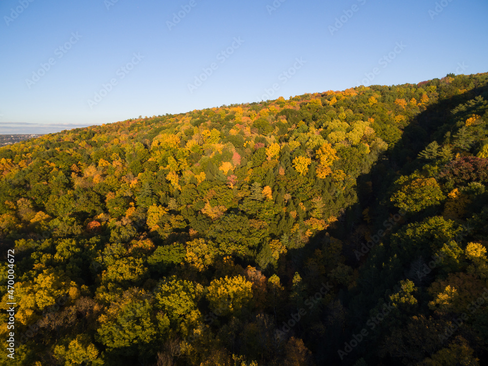 Naklejka premium Aerial of fall foliage in autumn