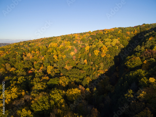 Fototapeta Naklejka Na Ścianę i Meble -  Aerial of fall foliage in autumn