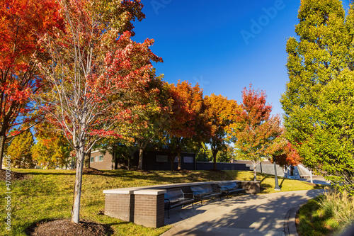 Beautiful fall color at the John Hope Franklin Reconciliation Park