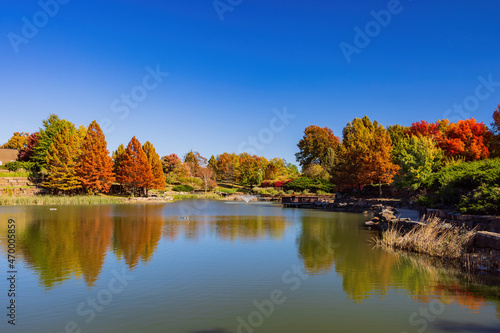 Obraz na płótnie Beautiful fall color fo Veterans Park w salonie