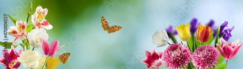 Canvas Print beautiful flowers in the garden on blure background closeup
