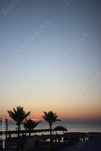 Silhouette of palm trees at sunrise