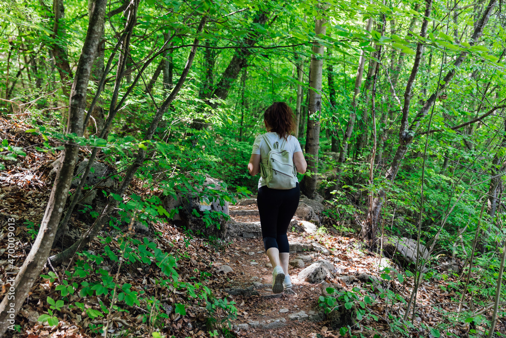 woman traveler walking in the woods on a hike woman traveler walking in the woods on a hike
