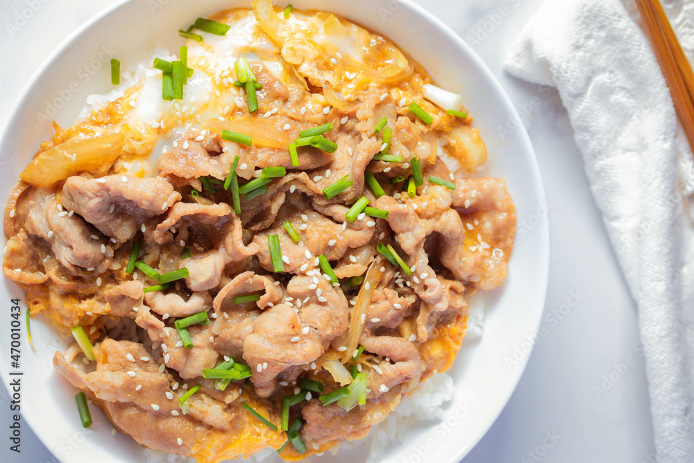 Sliced pork over rice with Japanese Teriyaki sauce menu in Korea and Japanese restaurant. Sliced pork over rice with Japanese Teriyaki sauce menu in Korea and Japanese restaurant.
