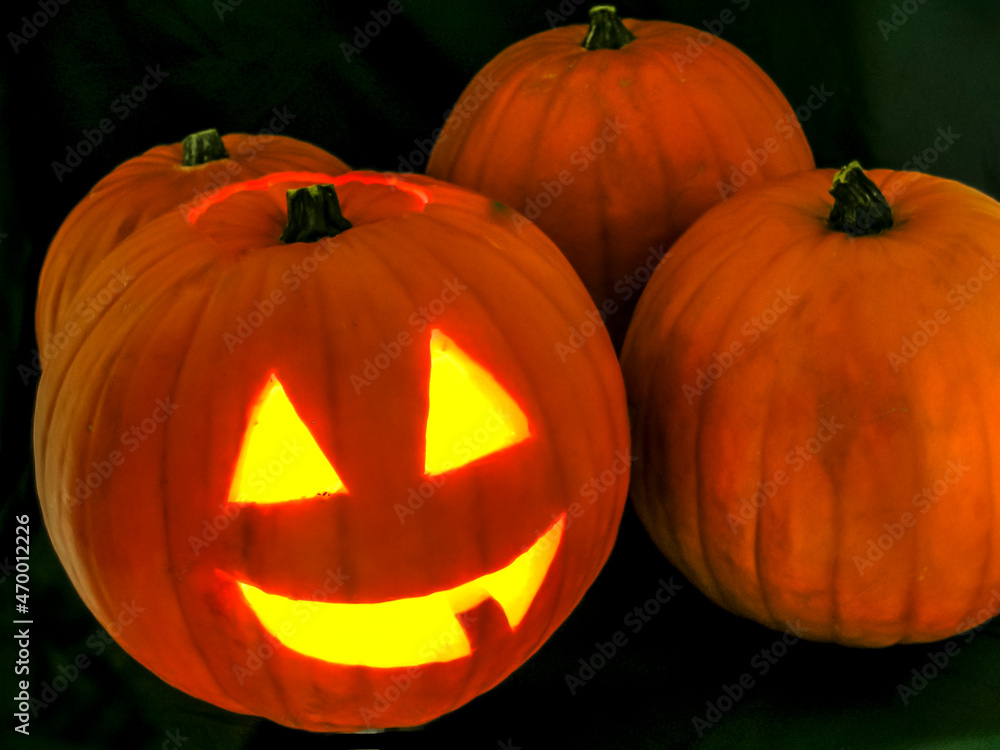 Fototapeta premium Halloween pumpkins on Black background