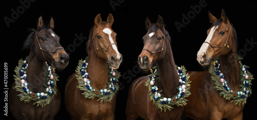 4 Pferde mit Weihnachtskranz © Nadine Haase