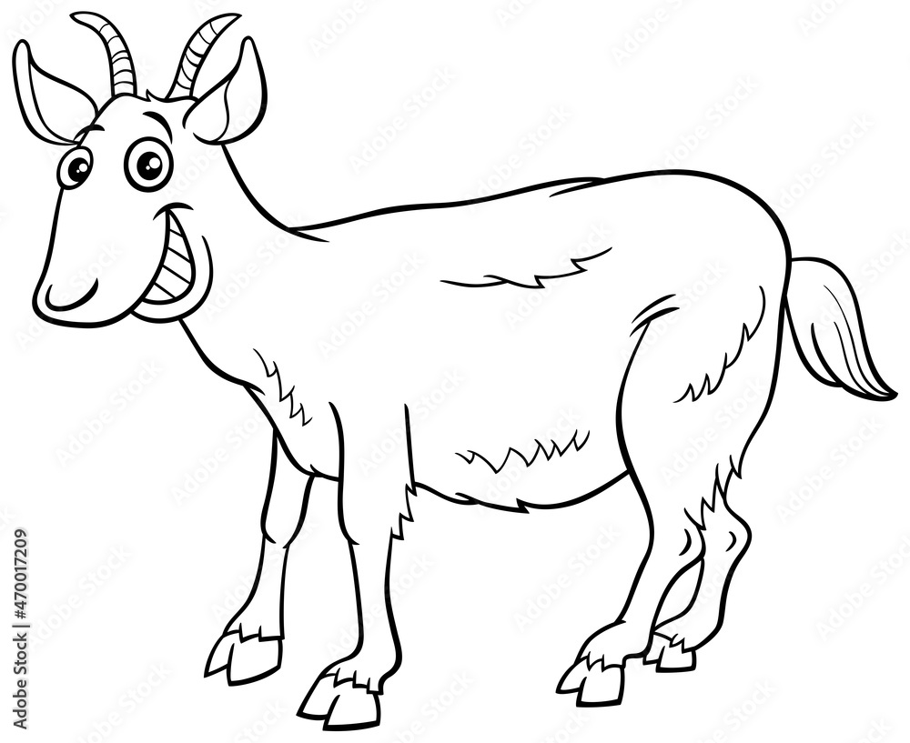 Fototapeta premium goat farm animal cartoon character coloring book page