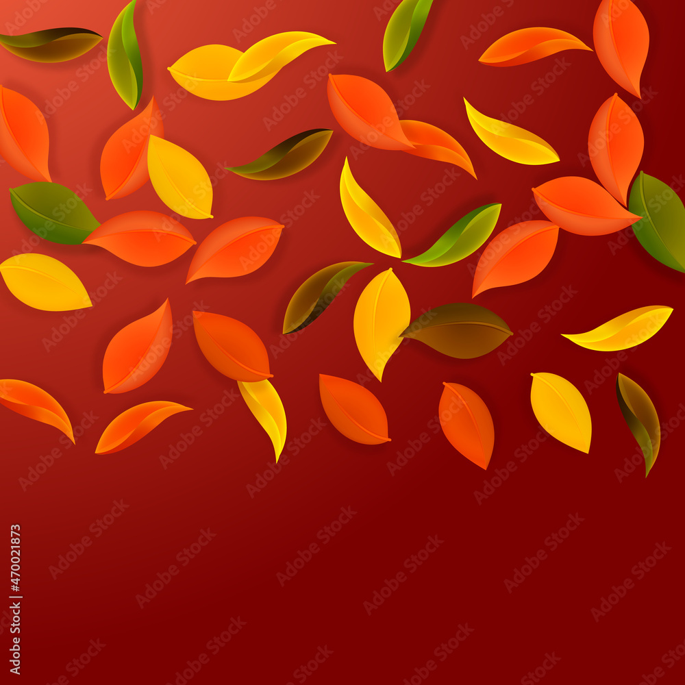 Falling autumn leaves. Red, yellow, green, brown n