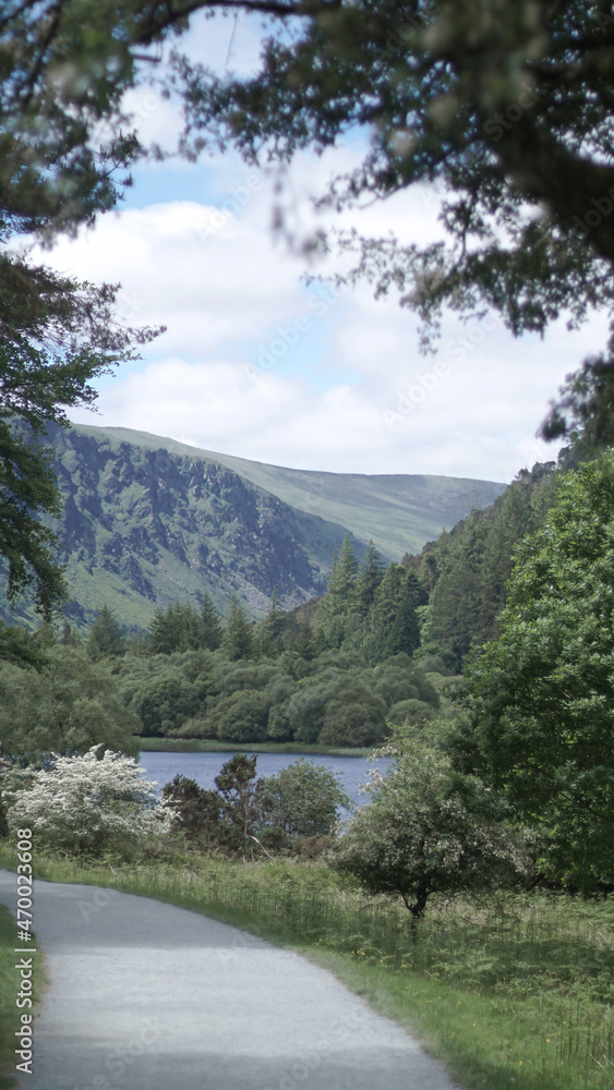 Wicklow Mountains View