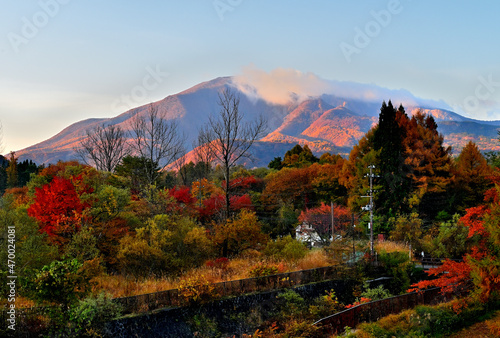 Autumn leaves in satoyama lkandscape early in the morning photo