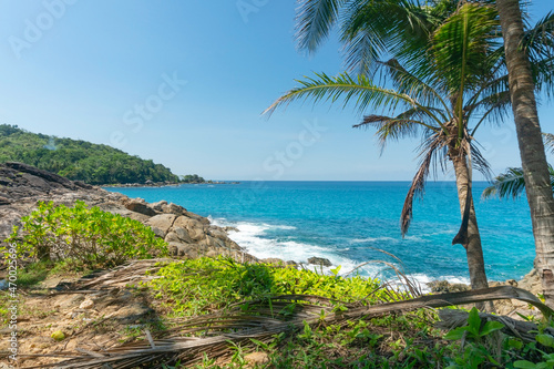 Coconut palm trees leaves frame with Summer seashore Amazing sea clear blue sky and white clouds Wave crashing on seashore Tree leaves frame over sea Copy space